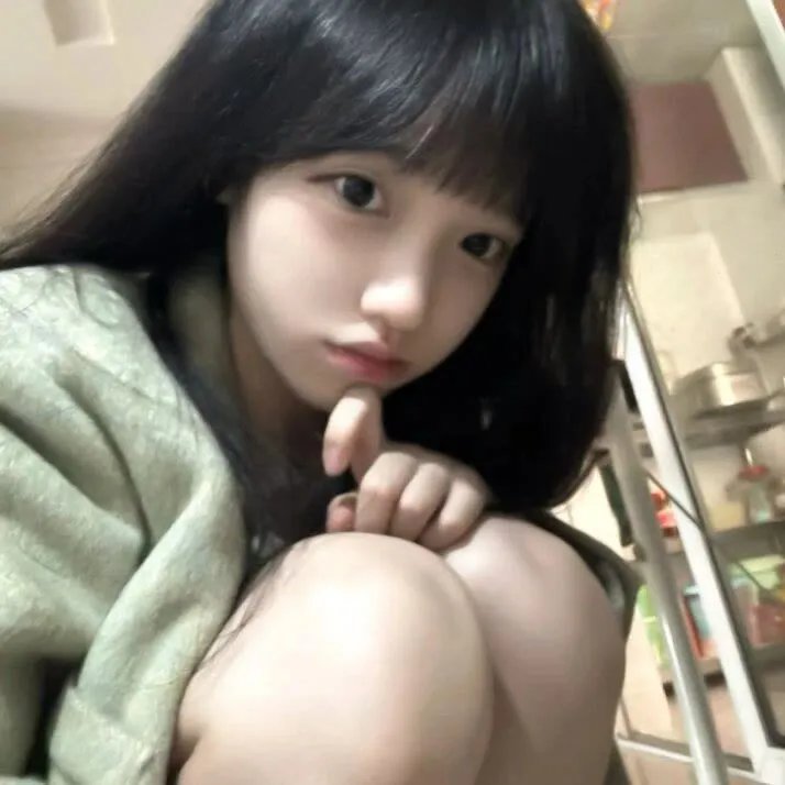 红狐